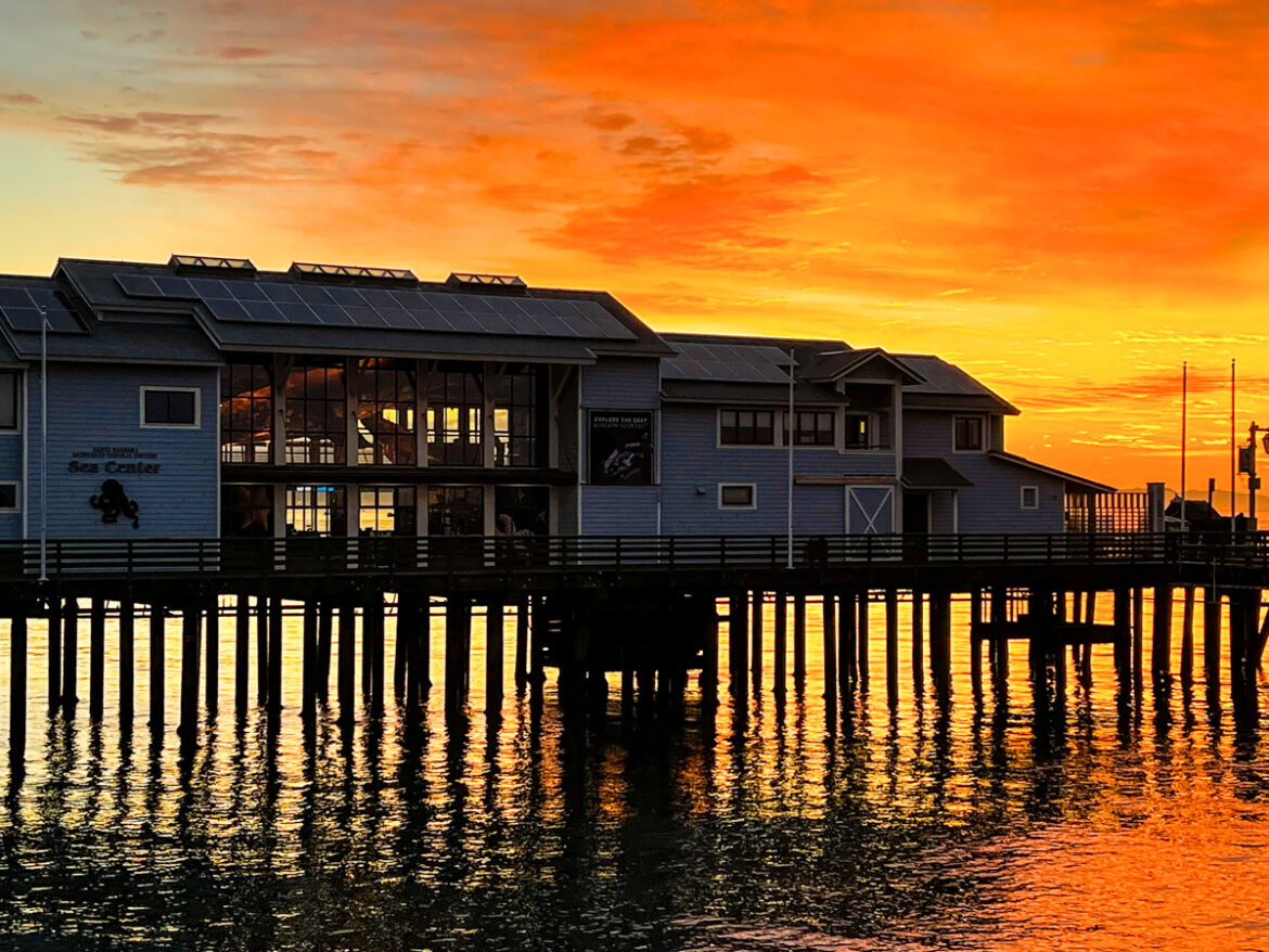 Stearns Wharf and the waterfront