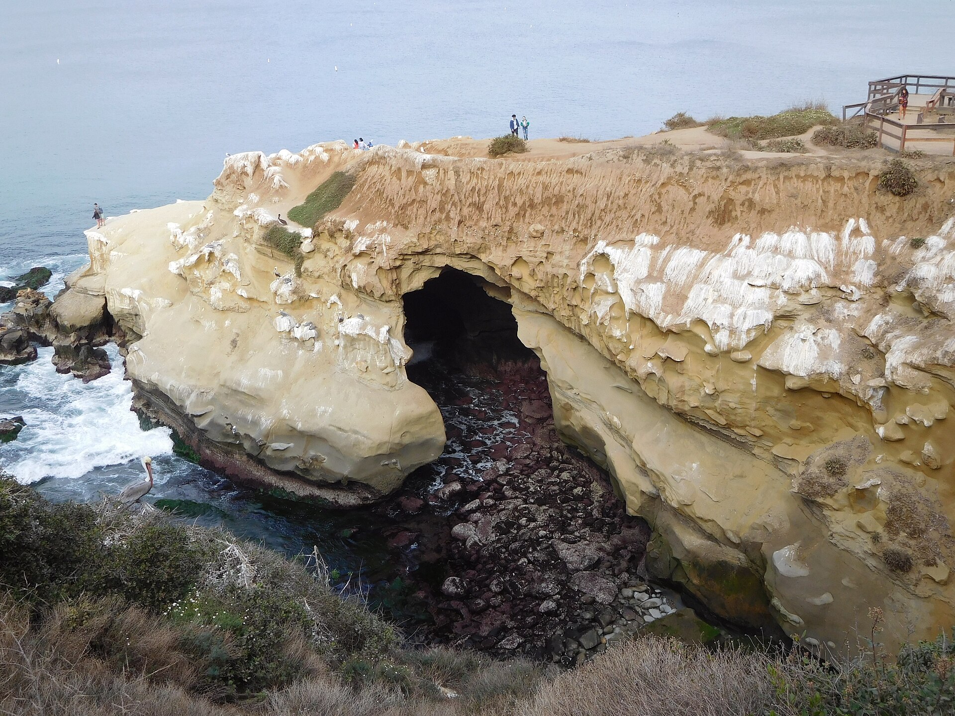 La Jolla Kayak Sunset Tour